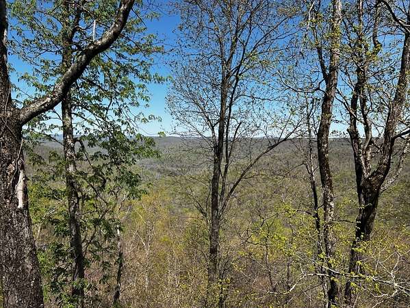 22.5 Acres of Recreational Land for Sale in Altamont, Tennessee