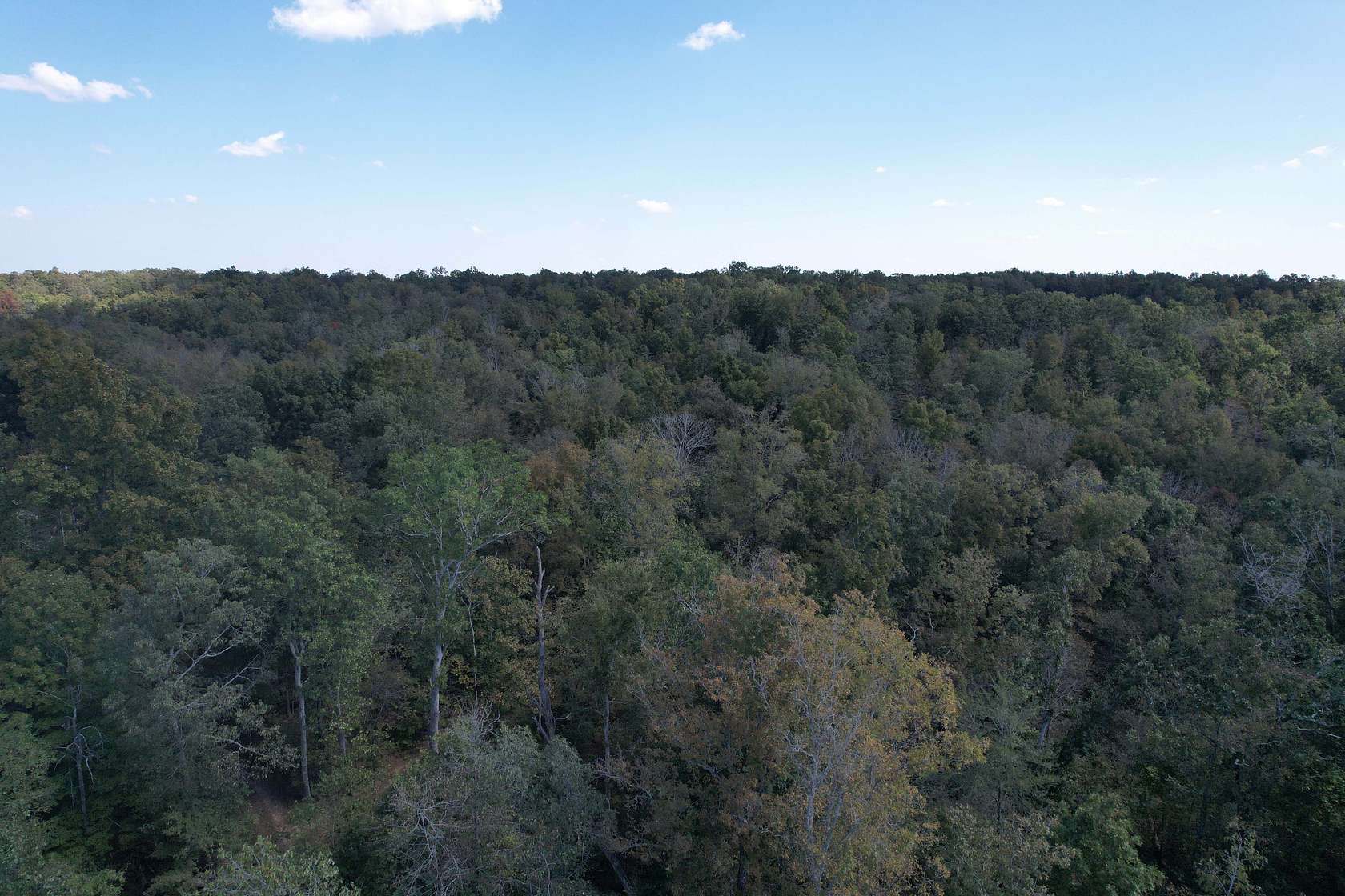 80 Acres of Recreational Land for Sale in Lowndes, Missouri