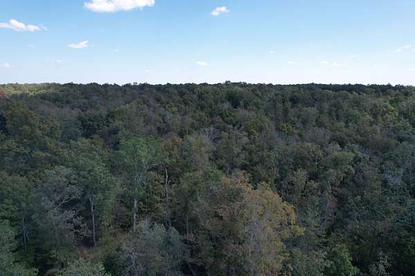 80 Acres of Recreational Land for Sale in Lowndes, Missouri