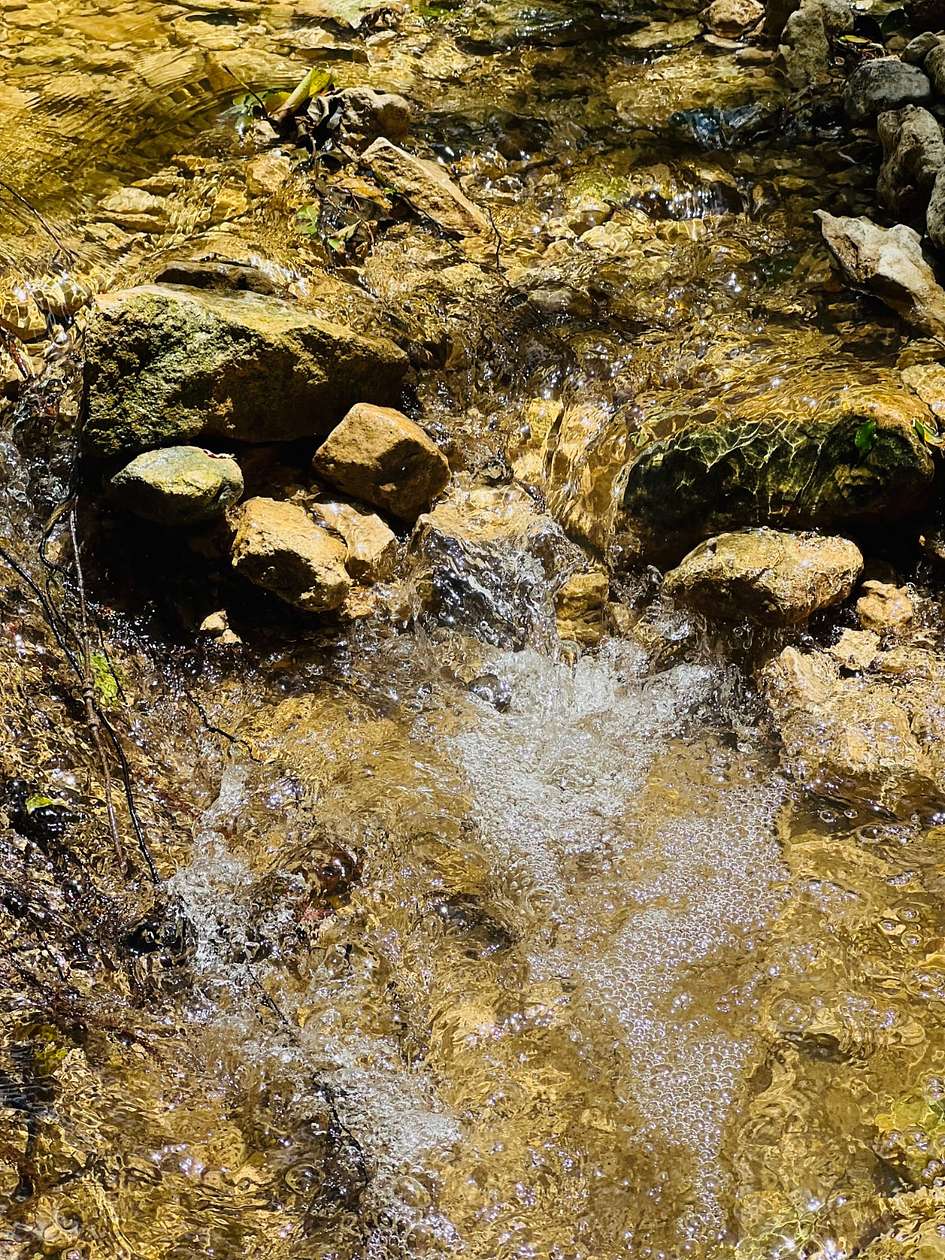 34.2 Acres of Land for Sale in Ohio, Texas