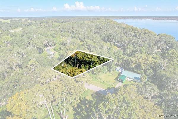 0.25 Acres of Residential Land for Sale in Lake Panasoffkee, Florida