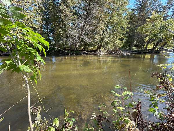 0.71 Acres of Land for Sale in Indian River, Michigan