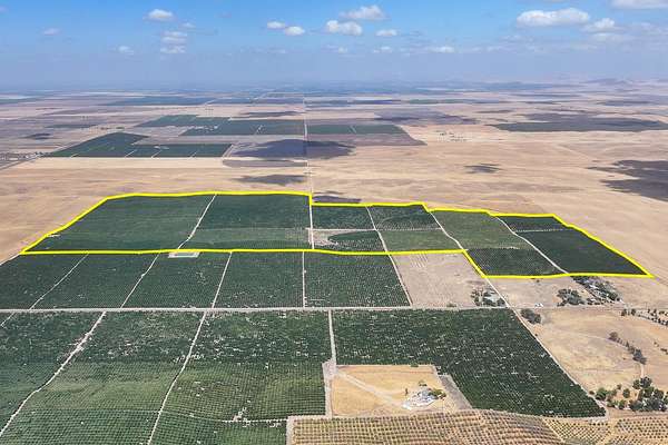 279 Acres of Land for Sale in Richgrove, California