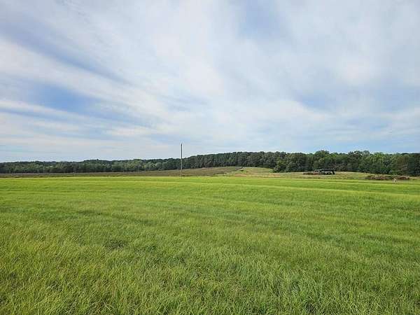 179 Acres of Recreational Land & Farm for Sale in Brundidge, Alabama