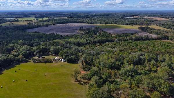 179 Acres of Recreational Land & Farm for Sale in Brundidge, Alabama