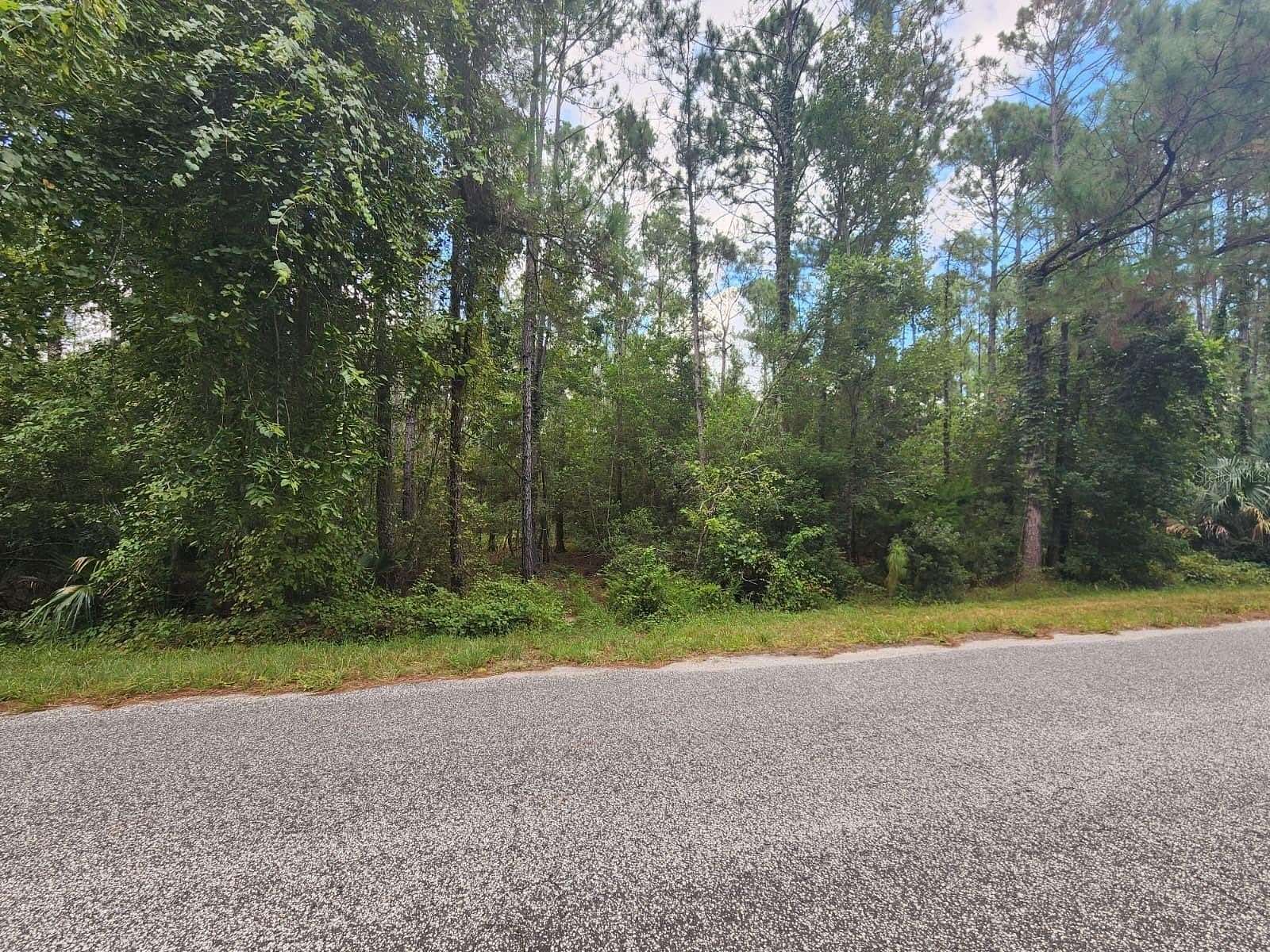 1 Acre of Residential Land for Sale in Eustis, Florida