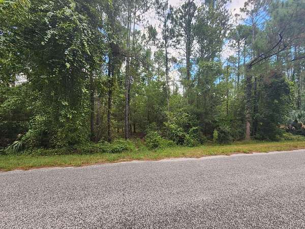 1 Acre of Residential Land for Sale in Eustis, Florida