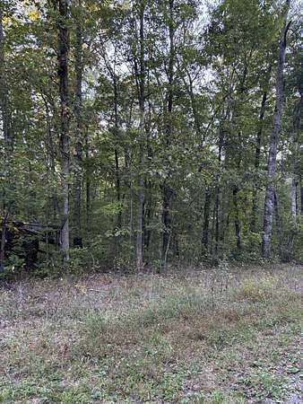0.56 Acres of Residential Land for Sale in Dunlap, Tennessee