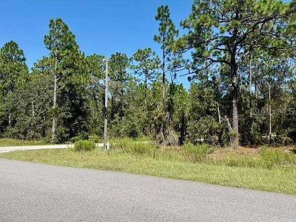 1 Acre of Residential Land for Sale in Dunnellon, Florida