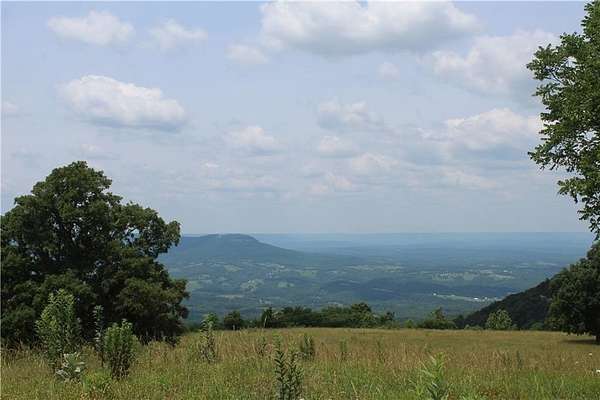 60 Acres of Land for Sale in Mount Judea, Arkansas