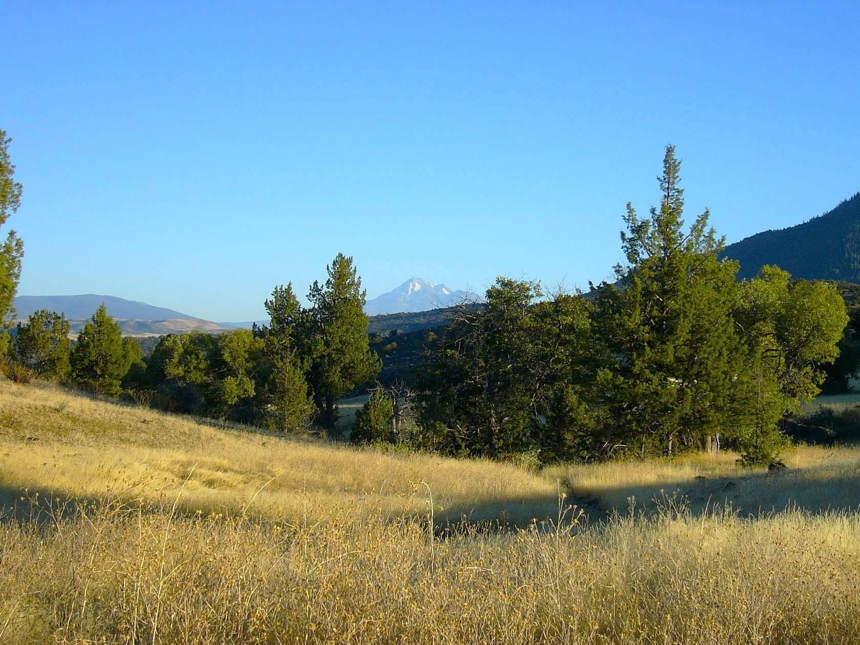 154 Acres of Recreational Land for Sale in Hornbrook, California