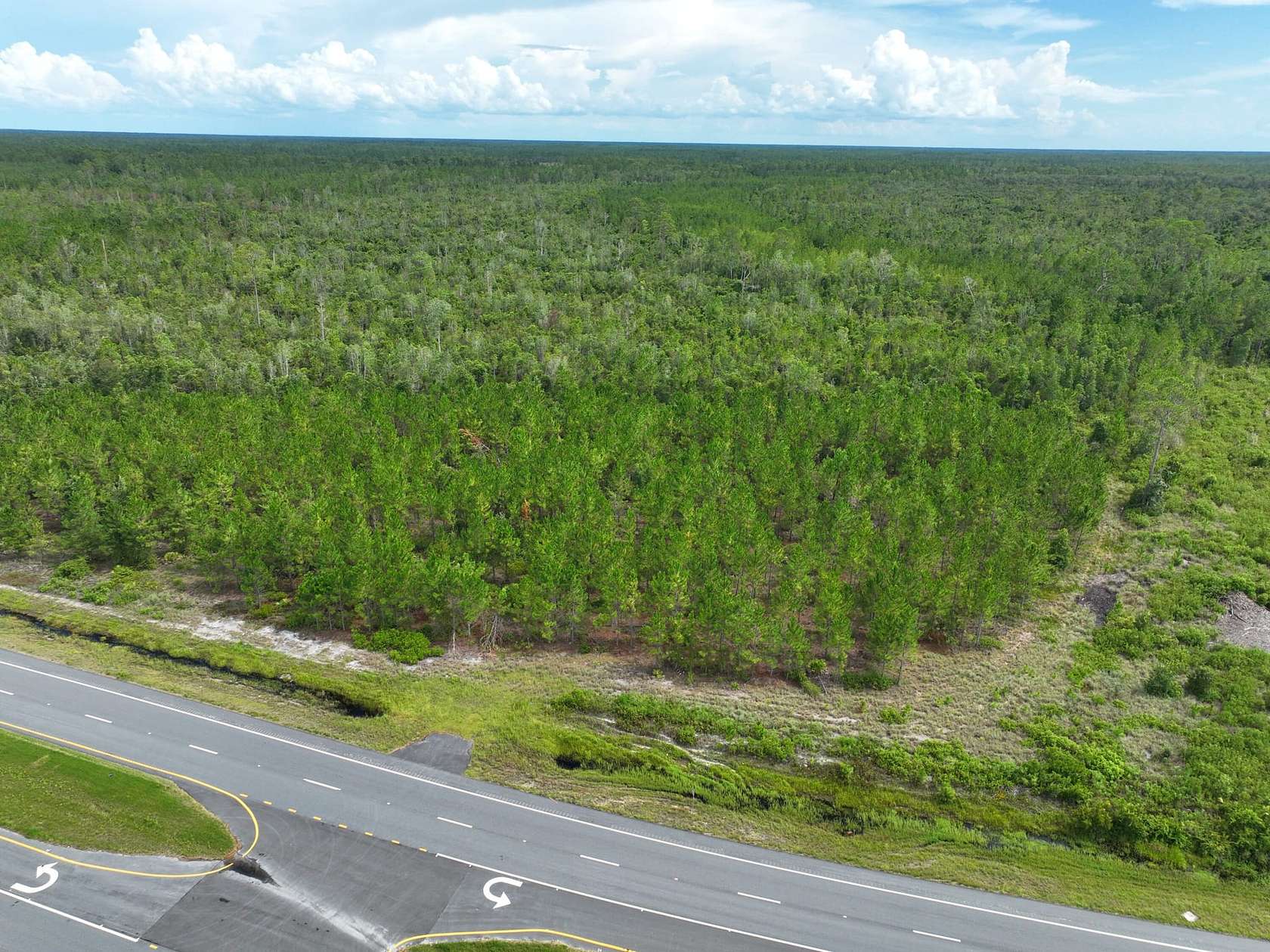 214 Acres of Recreational Land for Sale in Homerville, Georgia