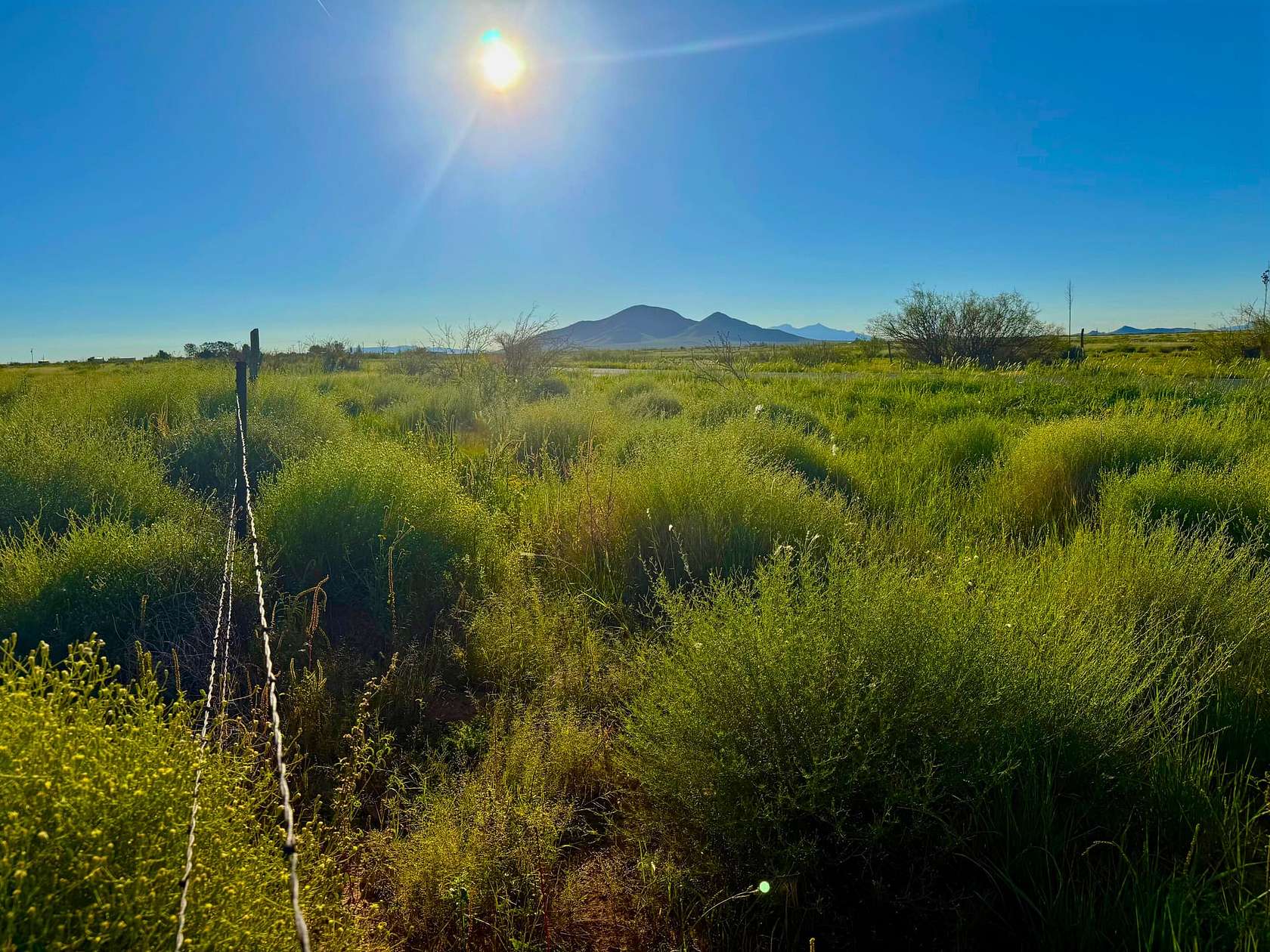 159 Acres of Recreational Land & Farm for Sale in Deming, New Mexico