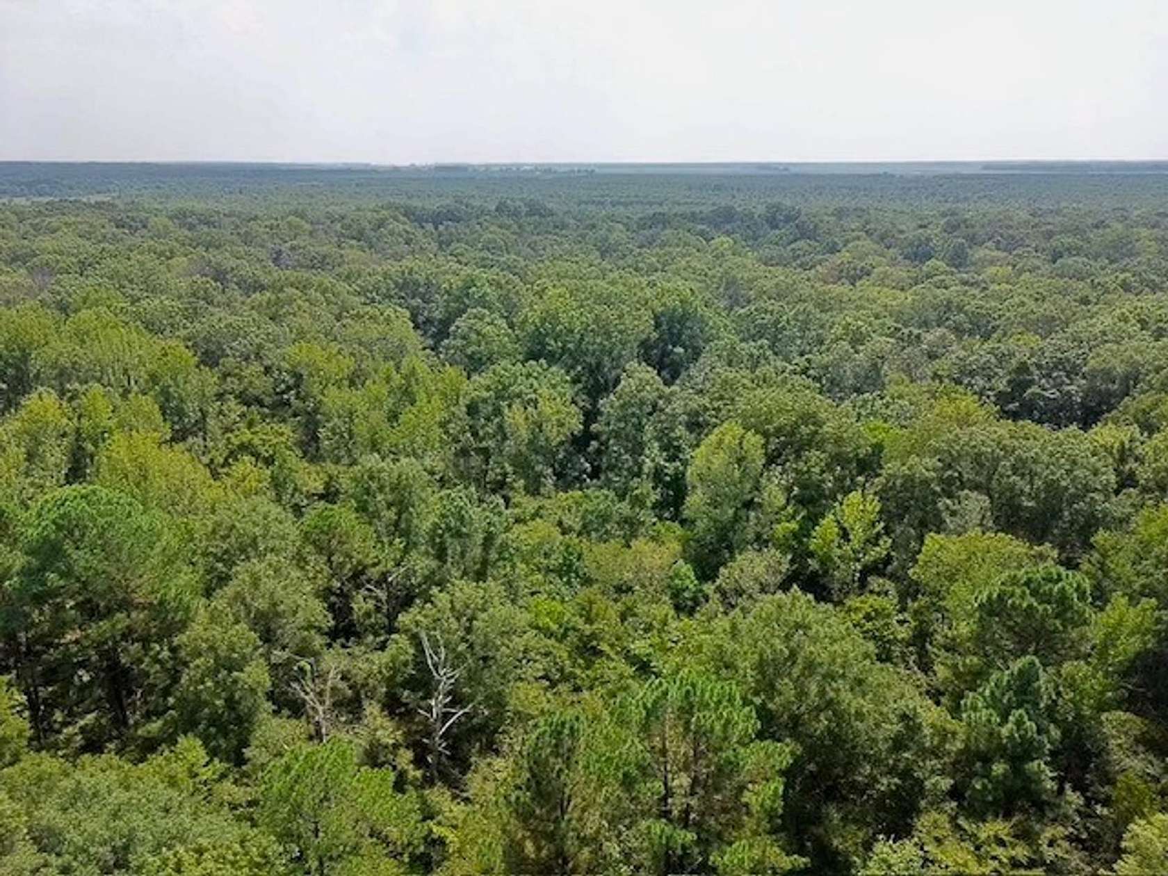 10 Acres of Recreational Land for Sale in Jacksonville, Arkansas
