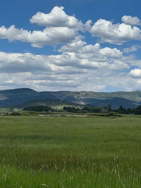 11.5 Acres of Land for Sale in Los Ojos, New Mexico