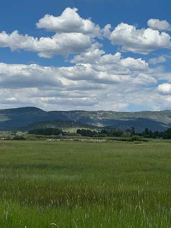 11.5 Acres of Land for Sale in Los Ojos, New Mexico