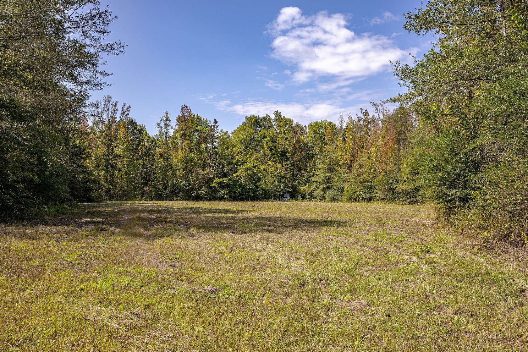 217 Acres of Recreational Land for Sale in Durant, Mississippi