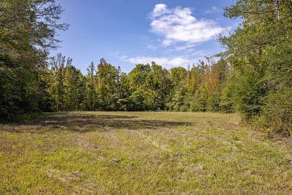 217 Acres of Recreational Land for Sale in Durant, Mississippi
