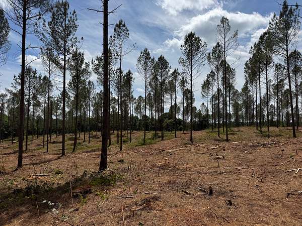 16 Acres of Recreational Land for Sale in Dewy Rose, Georgia