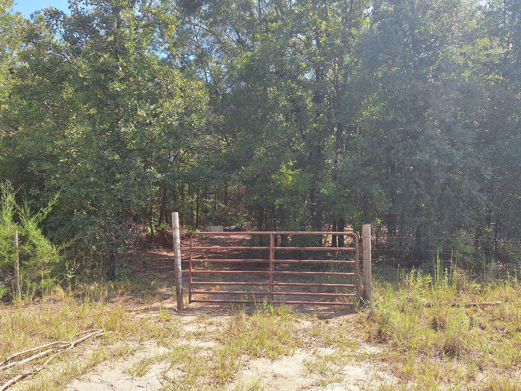 1 Acre of Residential Land for Sale in Bell, Florida