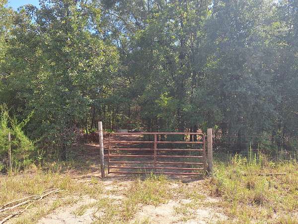 1 Acre of Residential Land for Sale in Bell, Florida