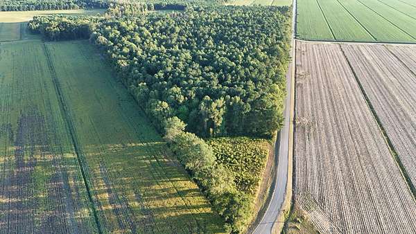 25 Acres of Land for Sale in Belhaven, North Carolina