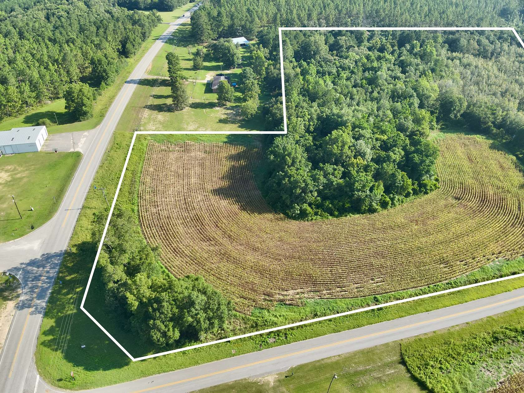 17.6 Acres of Land for Sale in Florala, Alabama