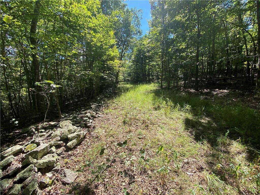 11.2 Acres of Recreational Land & Farm for Sale in Sand Gap, Arkansas