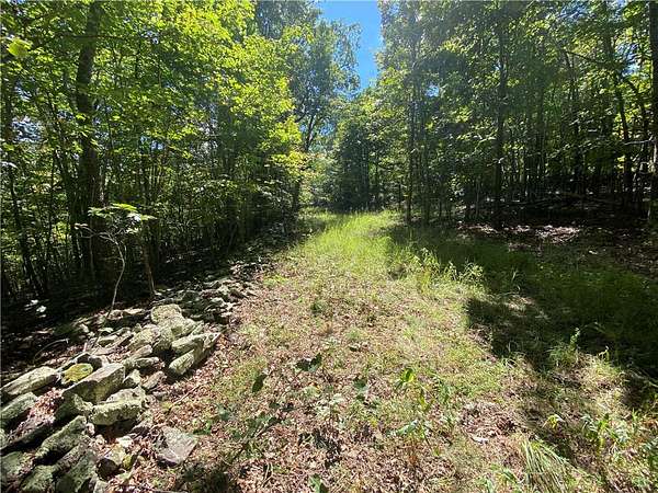 11.2 Acres of Recreational Land & Farm for Sale in Sand Gap, Arkansas