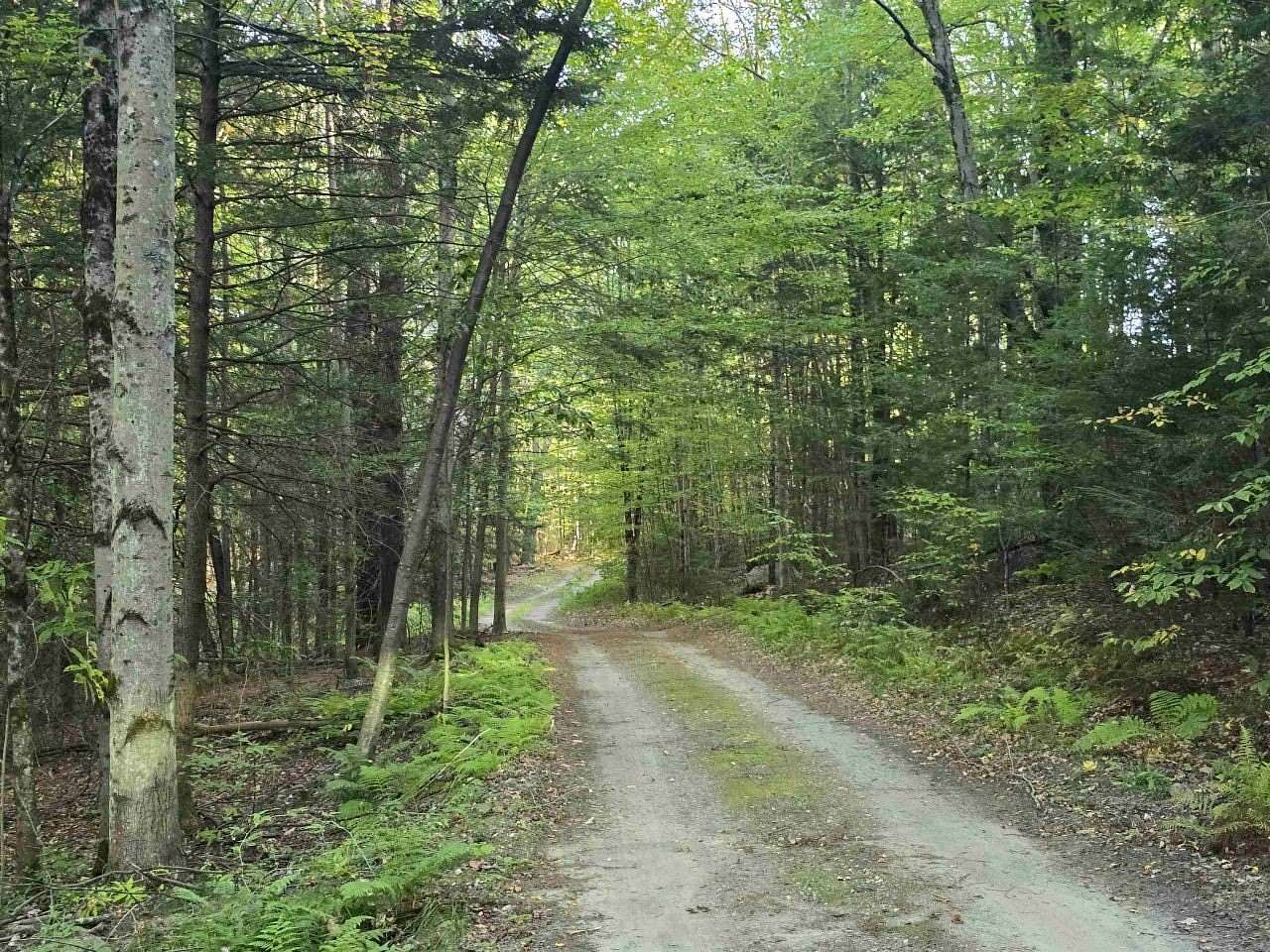 15.6 Acres of Land for Sale in Westminster, Vermont