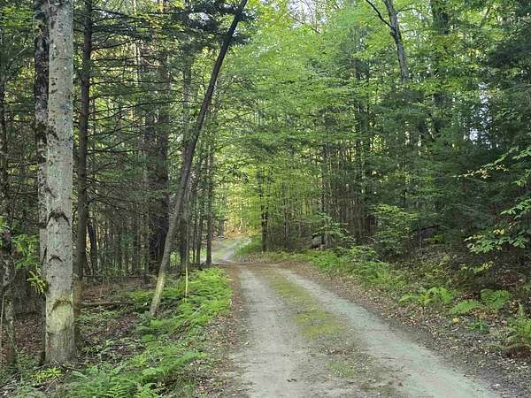 15.6 Acres of Land for Sale in Westminster, Vermont