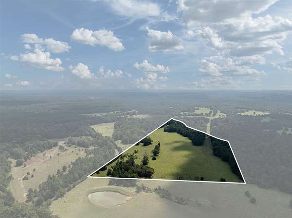 43.1 Acres of Land for Sale in Palestine, Texas