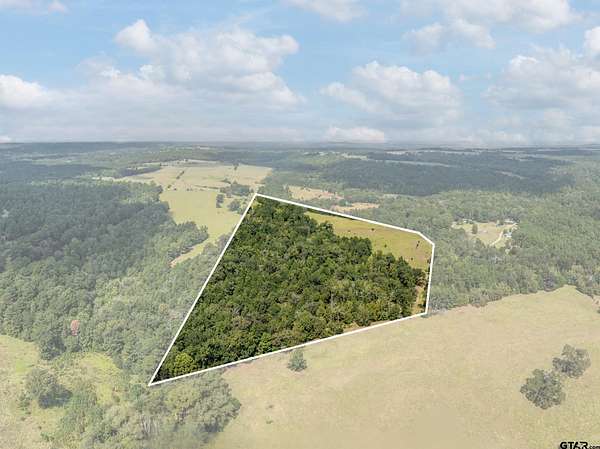 30 Acres of Land for Sale in Palestine, Texas