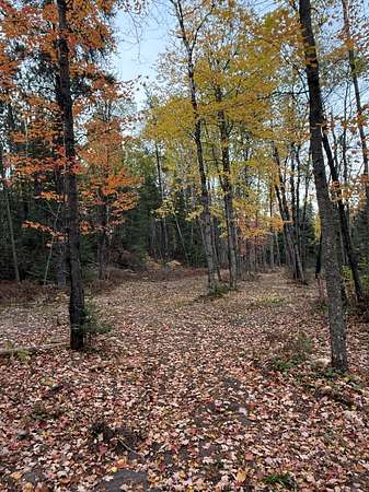 4 Acres of Land for Sale in Eveleth, Minnesota