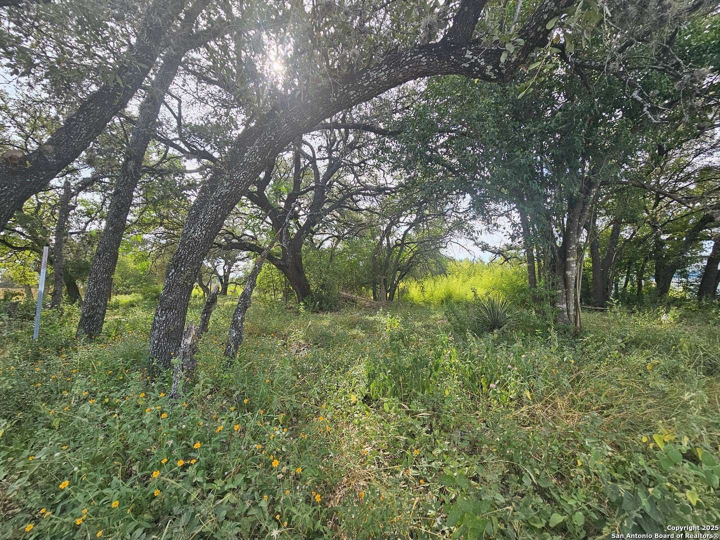 0.73 Acres of Residential Land for Sale in San Antonio, Texas
