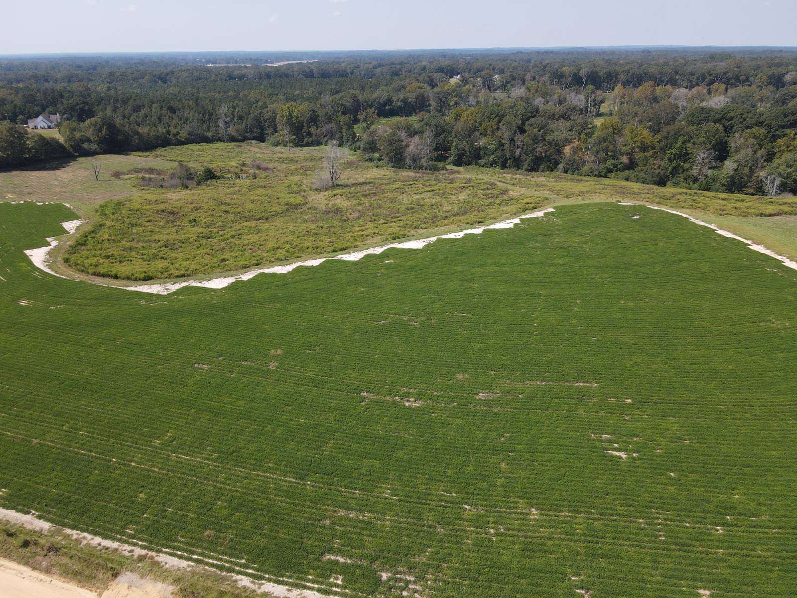 10.2 Acres of Land for Sale in Troy, Alabama