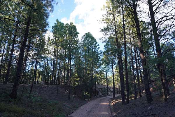 6.2 Acres of Land for Sale in Pecos, New Mexico