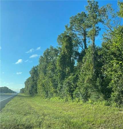 20 Acres of Mixed-Use Land for Sale in Chiefland, Florida