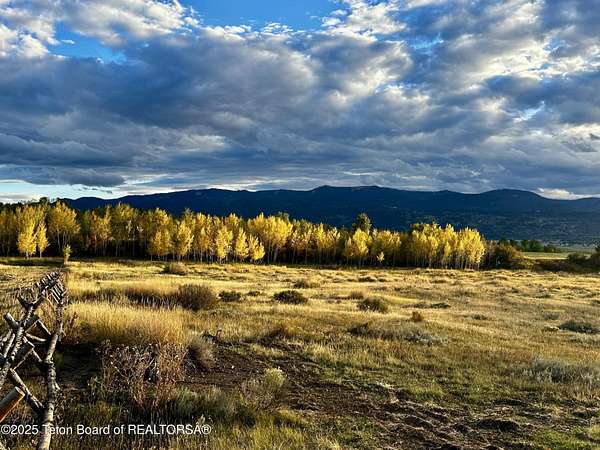 3.34 Acres of Land for Sale in Swan Valley, Idaho