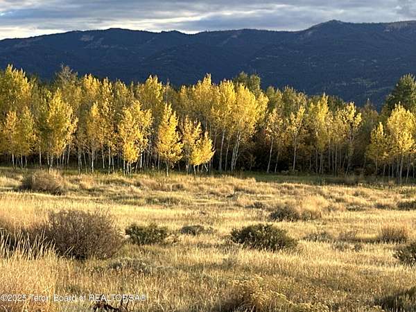 2.85 Acres of Land for Sale in Swan Valley, Idaho