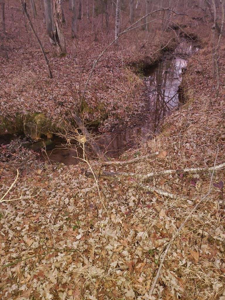 1.6 Acres of Residential Land for Sale in Monterey, Tennessee