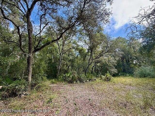 1.7 Acres of Land for Sale in Webster, Florida