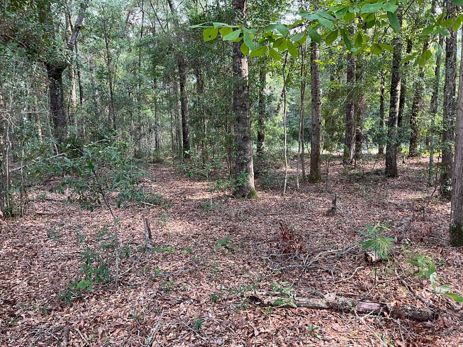 4 Acres of Land for Sale in Early Branch, South Carolina