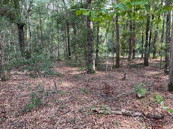 4 Acres of Land for Sale in Early Branch, South Carolina