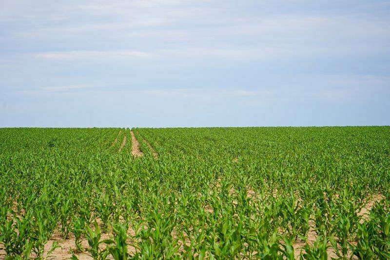 160 Acres of Agricultural Land for Sale in Stanton Township, Kansas