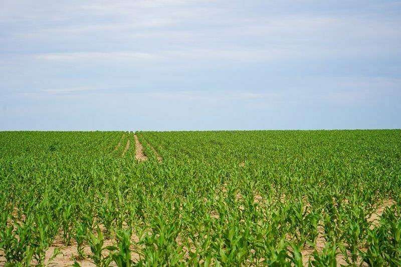 160 Acres of Agricultural Land for Sale in Stanton Township, Kansas