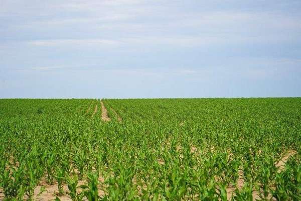 160 Acres of Agricultural Land for Sale in Stanton Township, Kansas