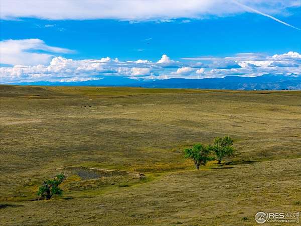 120 Acres of Agricultural Land for Sale in Carr, Colorado