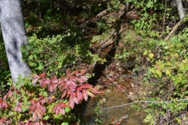 4.2 Acres of Residential Land for Sale in Monterey, Tennessee