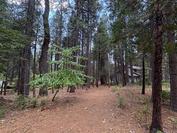 0.37 Acres of Residential Land for Sale in Arnold, California